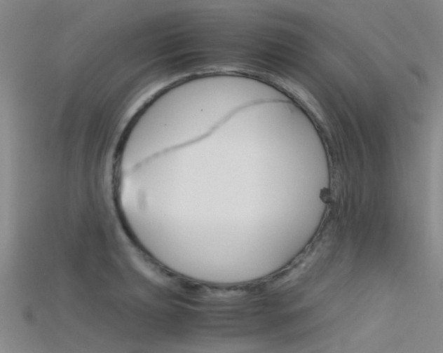 X0000115741039200911121058