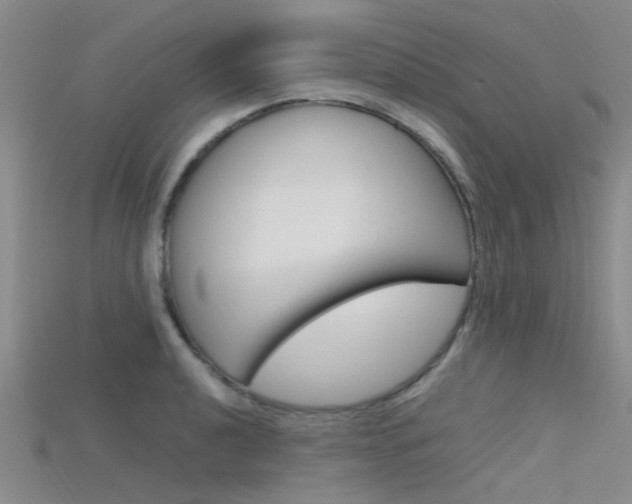 X0000115741040200911121058
