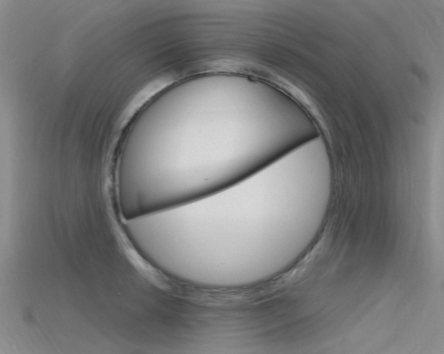 X0000115741042200911121058