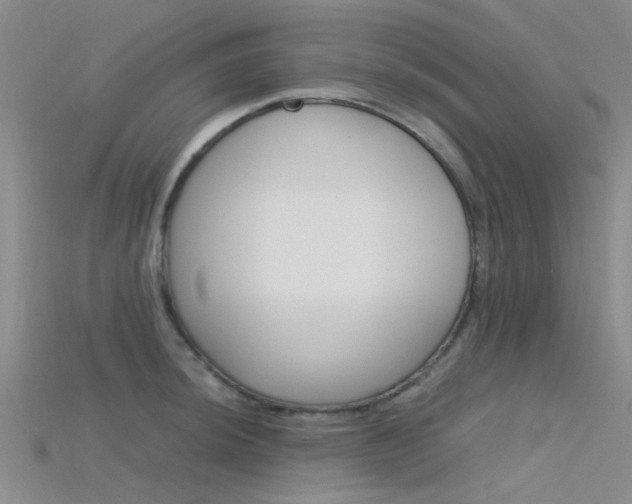 X0000115741044200911121058