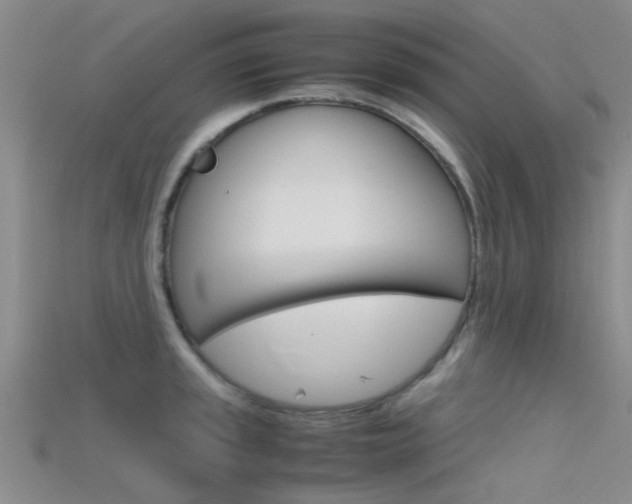 X0000115741045200911121058