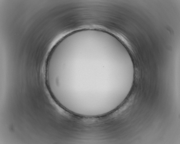 X0000115741046200911121058