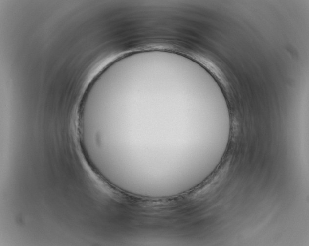 X0000115741047200911121058