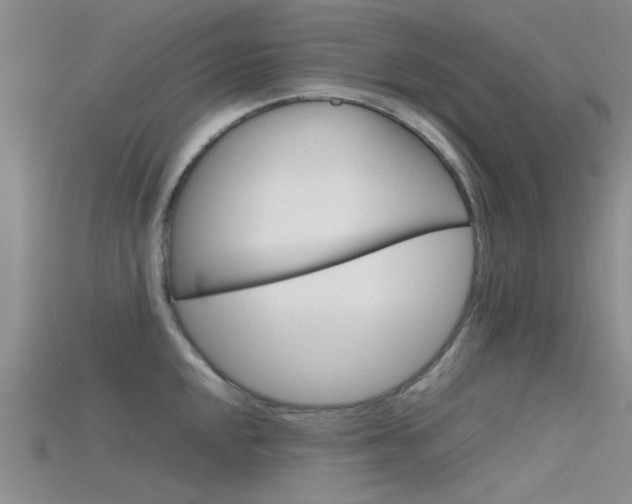 X0000115741048200911121058