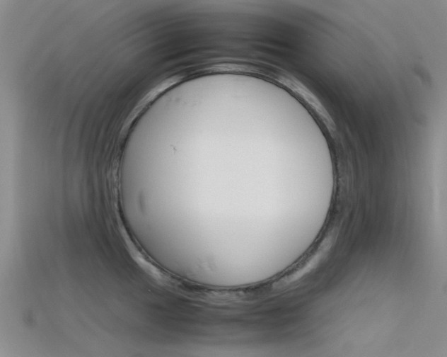 X0000115741049200911121058