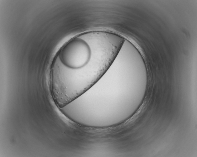 X0000115741054200911121058