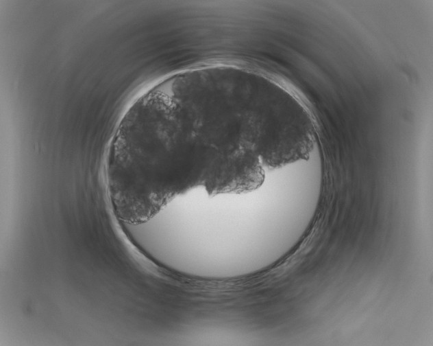 X0000115741055200911121058