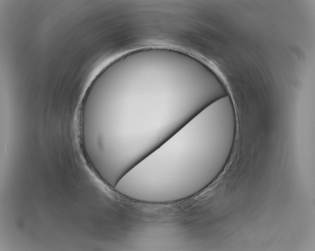 X0000115741056200911121058