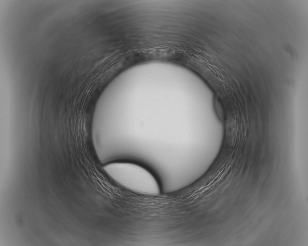 X0000115741058200911121057