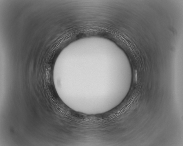 X0000115741059200911121057
