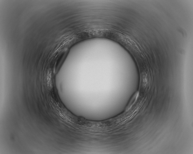 X0000115741060200911121057