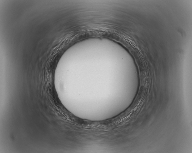 X0000115741061200911121057