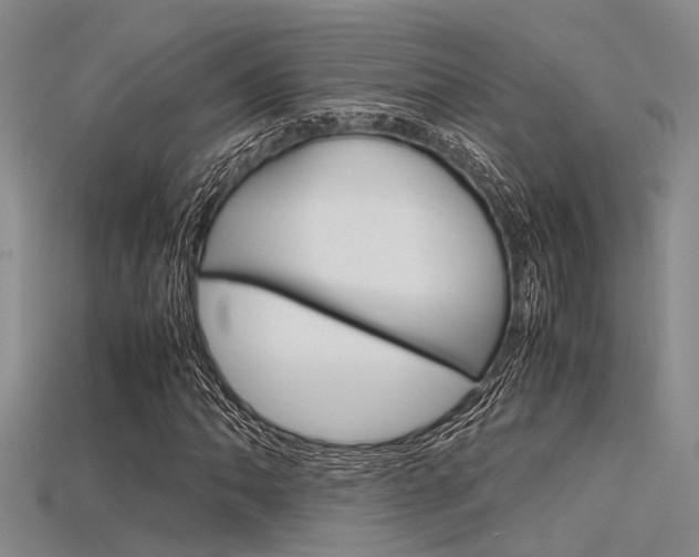 X0000115741062200911121057