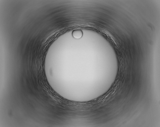 X0000115741064200911121057