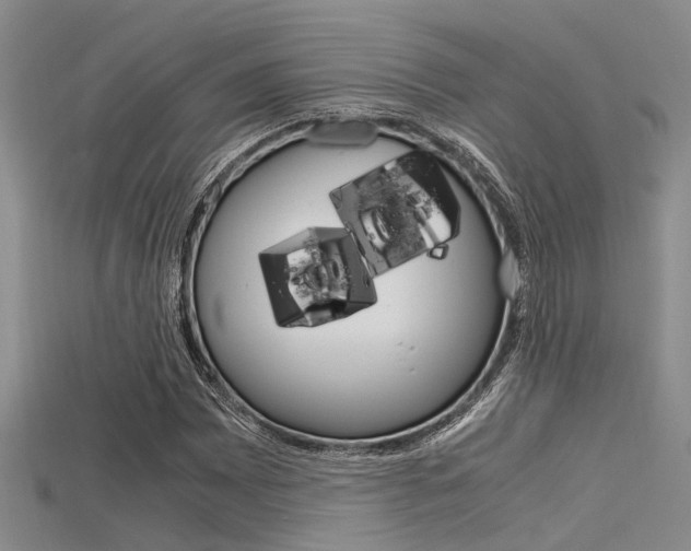 X0000115741065200911121057