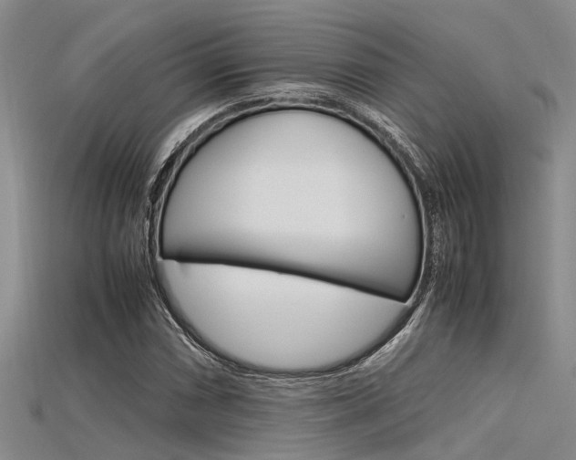 X0000115741066200911121057