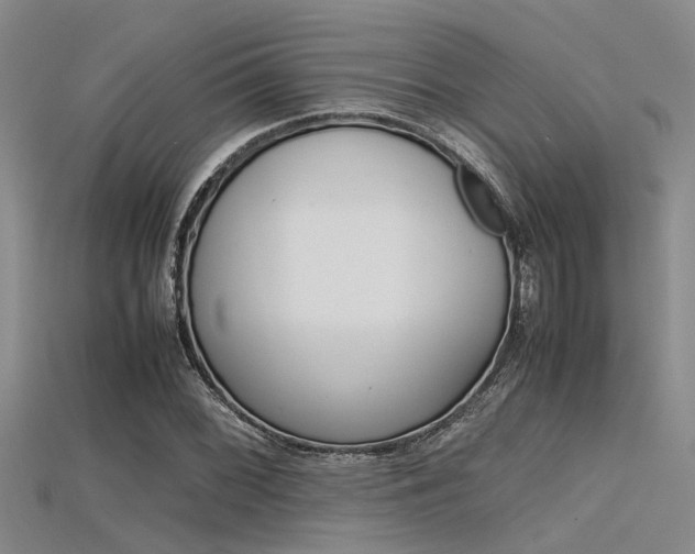 X0000115741068200911121057