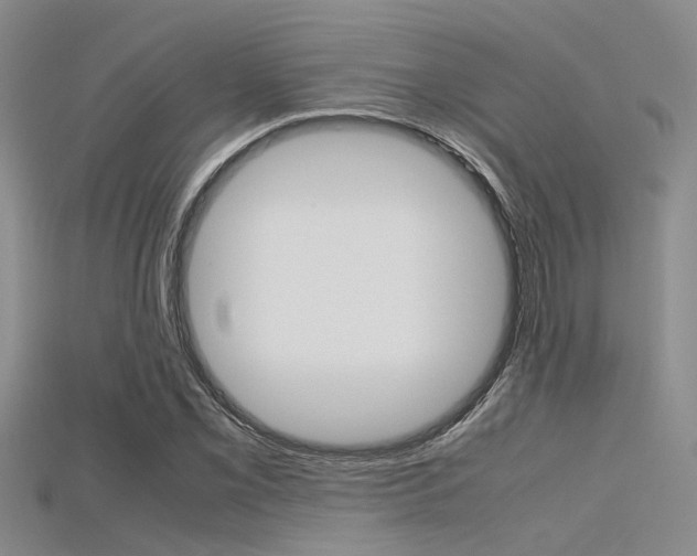 X0000115741069200911121057