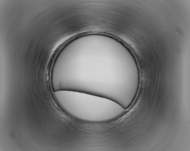 X0000115741070200911121057