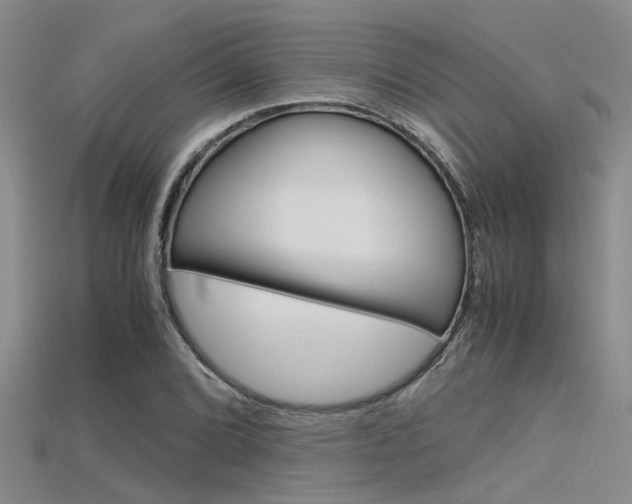 X0000115741072200911121057