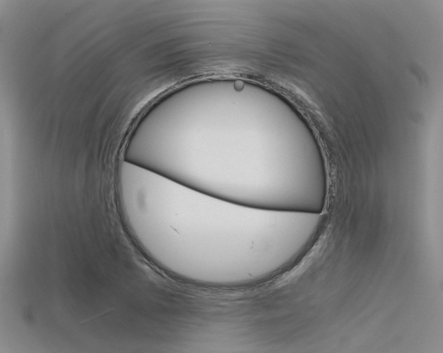 X0000115741073200911121057