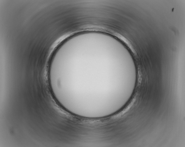 X0000115741074200911121057