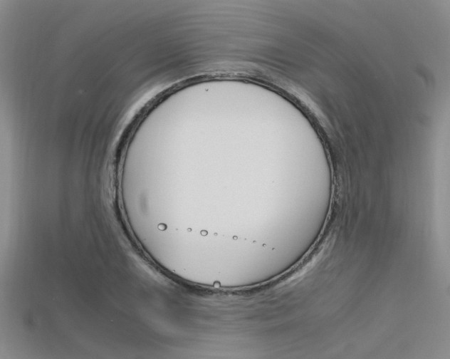 X0000115741075200911121057