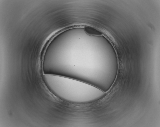 X0000115741076200911121057