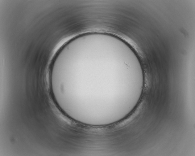 X0000115741078200911121057