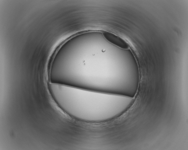 X0000115741080200911121057