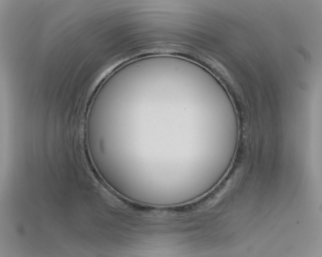 X0000115741081200911121057