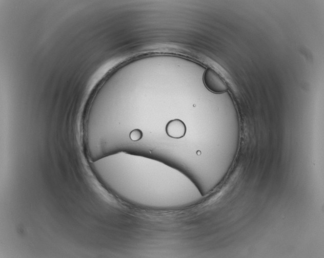 X0000115741082200911121057