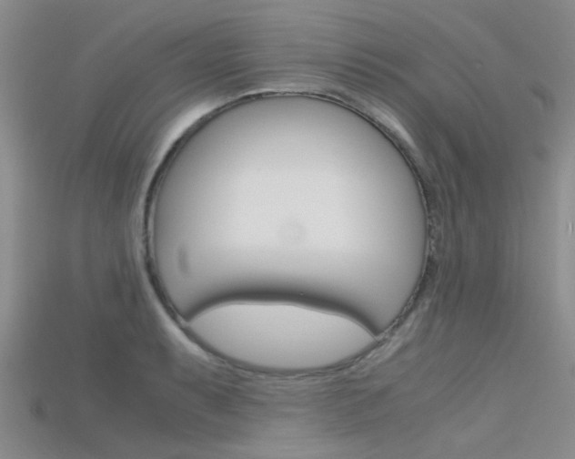 X0000115741087200911121057