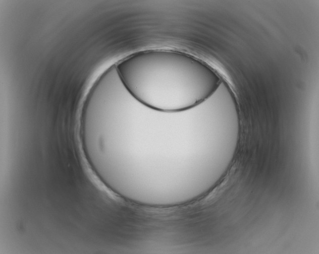 X0000115741088200911121057