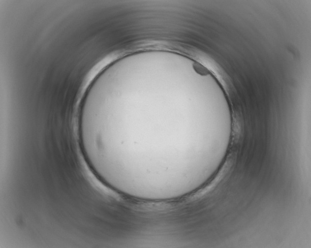 X0000115741090200911121057