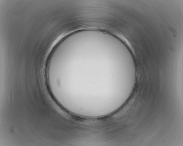 X0000115741091200911121057