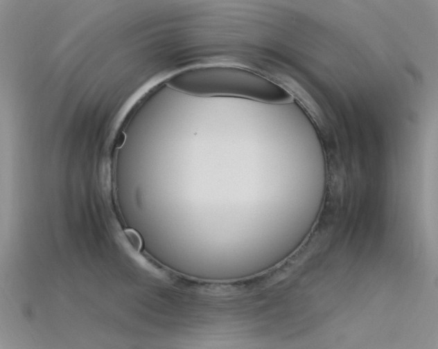 X0000115741092200911121057