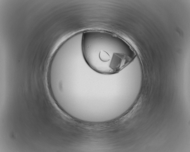 X0000115741093200911121057