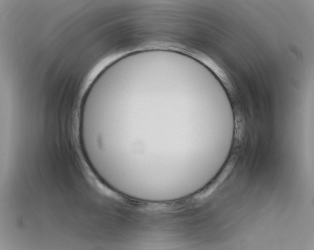 X0000115741094200911121057