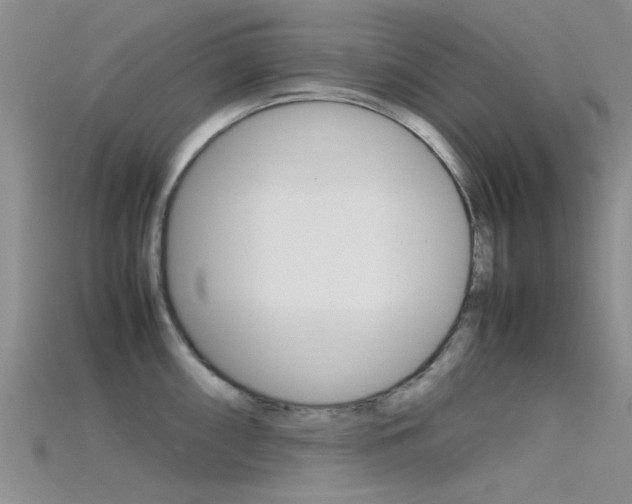 X0000115741098200911121057