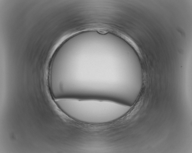 X0000115741099200911121057