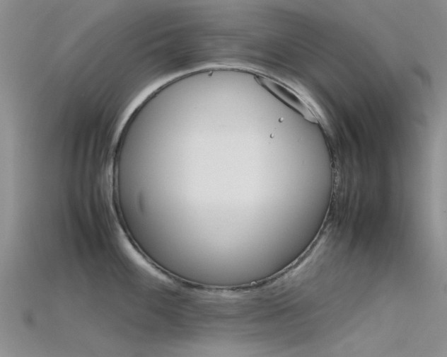 X0000115741100200911121057