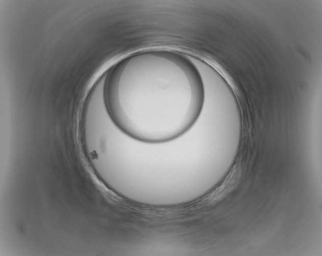 X0000115741101200911121057