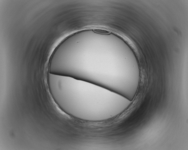 X0000115741102200911121057