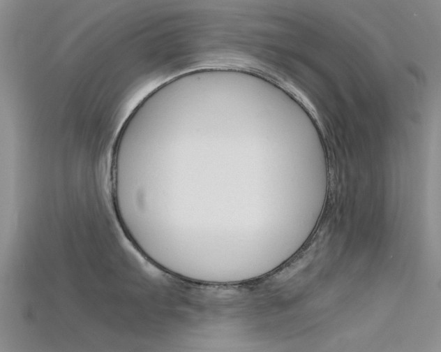 X0000115741103200911121057