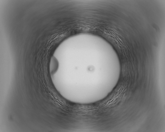 X0000115741105200911121056