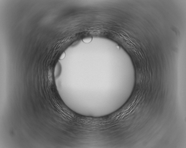 X0000115741106200911121056