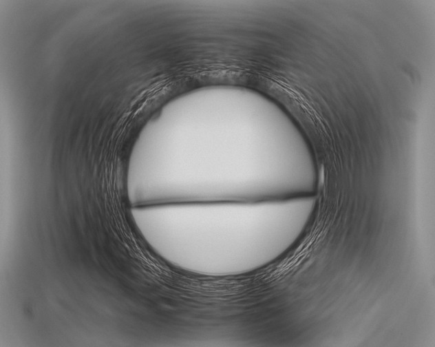 X0000115741107200911121056