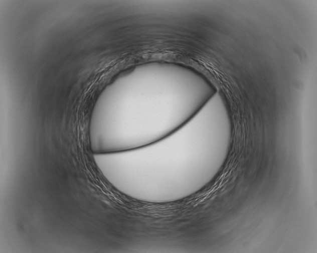 X0000115741109200911121056