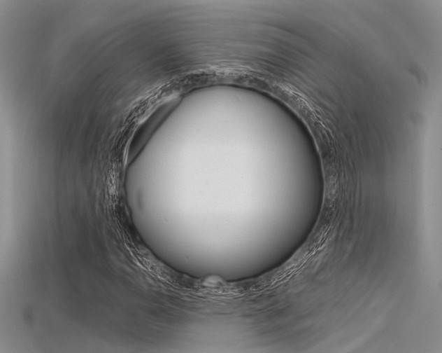 X0000115741110200911121056